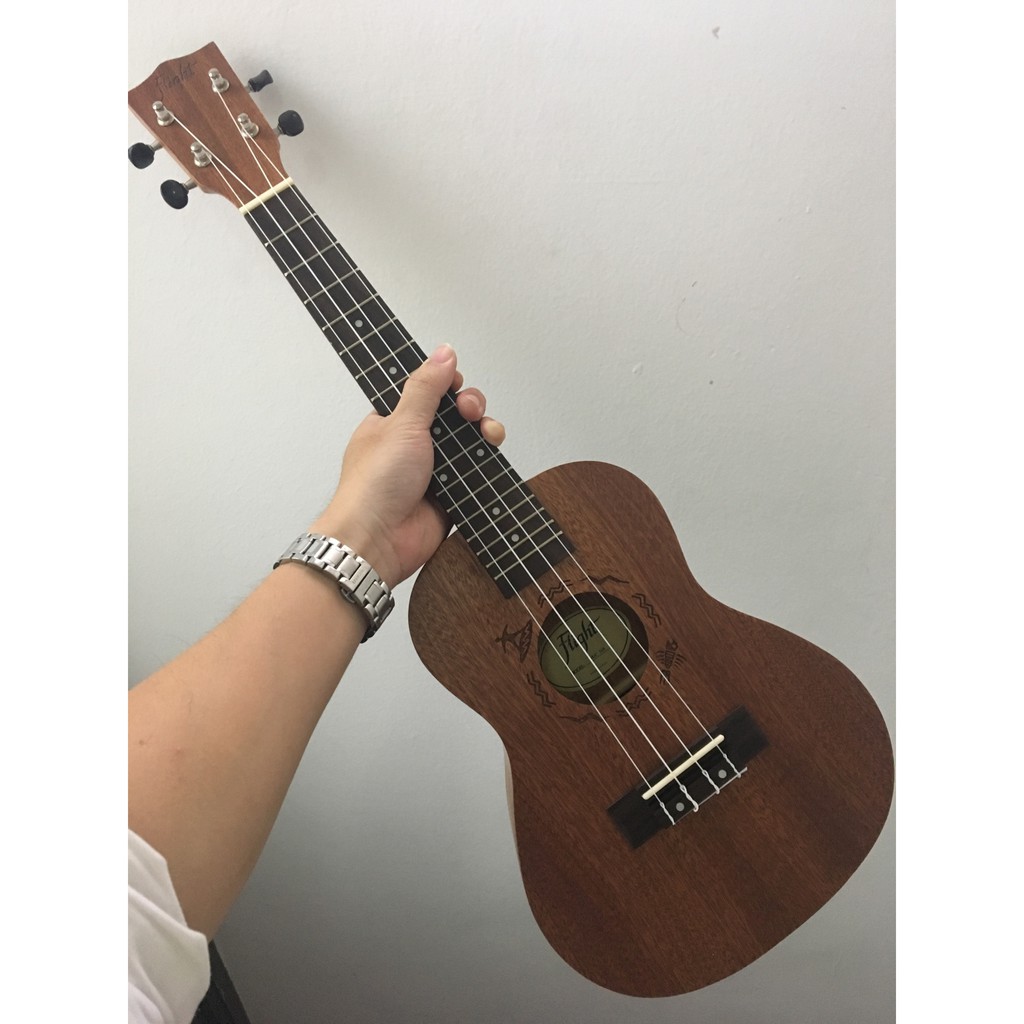 Top 10 địa chỉ mua đàn ukulele Hà Nội nổi tiếng về chất lượng | List.vn