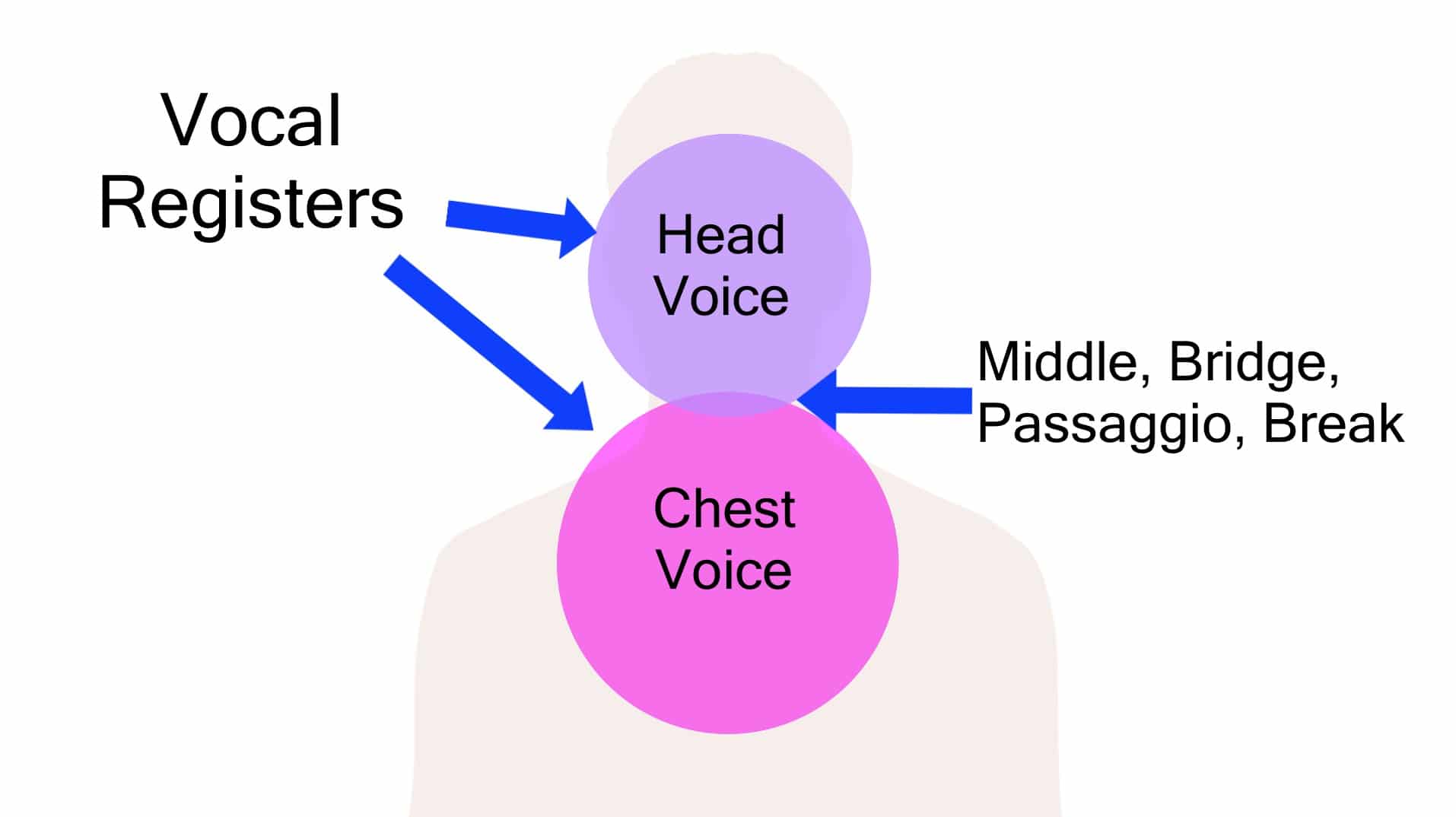 Chest voice là gì 2